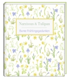 Narzissus & Tulipan