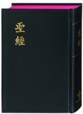Bibel Chinesisch (Shangti Edition)