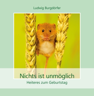 Nichts ist unmöglich