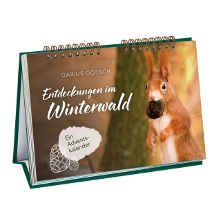 Entdeckungen im Winterwald