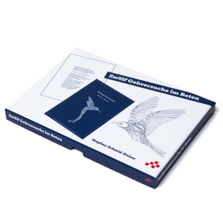 Zwölf Gehversuche im Beten