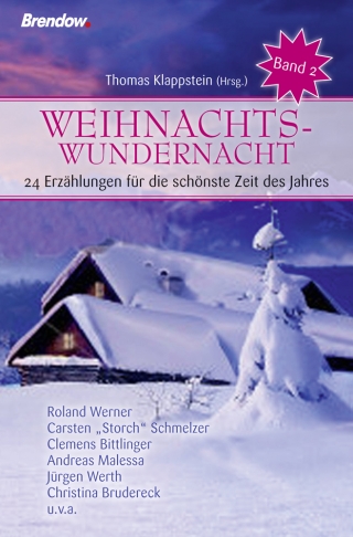 Weihnachtswundernacht - Band 2