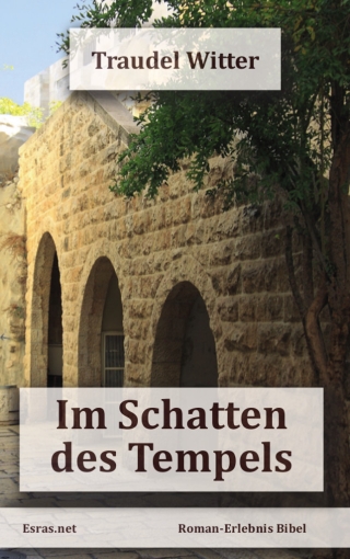 Im Schatten des Tempels