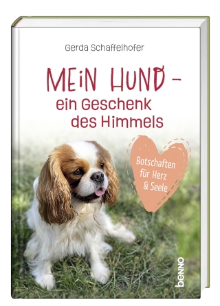 Mein Hund – ein Geschenk des Himmels