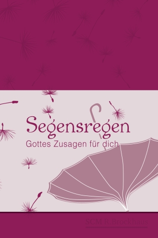Segensregen