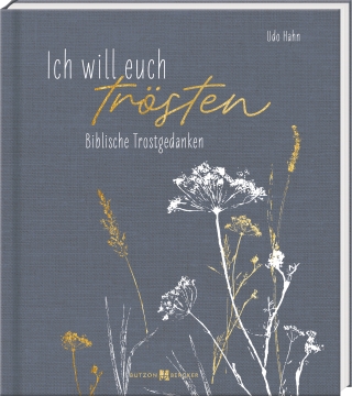 Ich will euch trösten