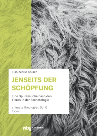 Jenseits der Schöpfung