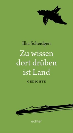 Zu wissen dort drüben ist Land