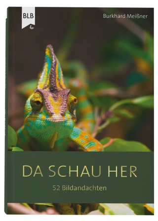 Da schau her