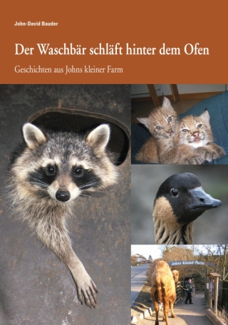 Der Waschbär schläft hinter dem Ofen
